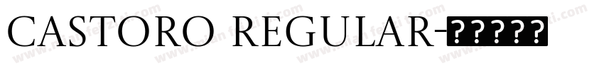 Castoro Regular字体转换